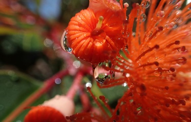 P2046394a.jpg